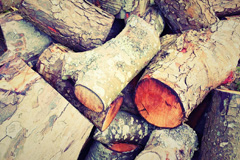 Edial wood burning boiler costs